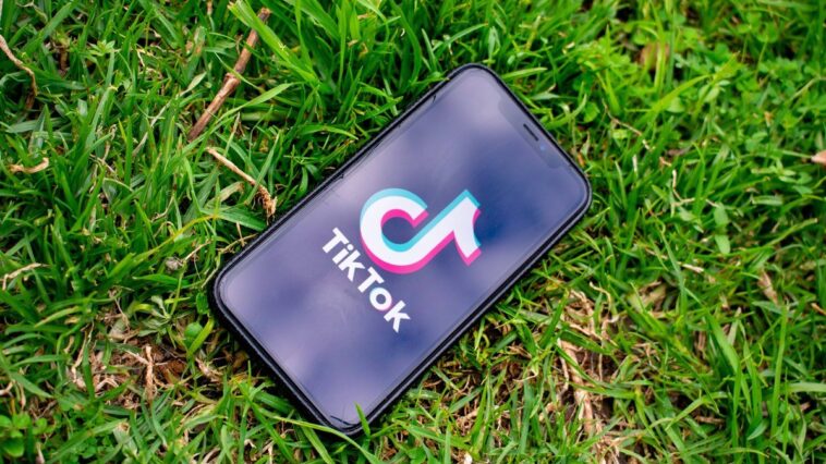 tiktok-pode-ser-multado-por-coleta-ilegal-de-dados-de-criancas