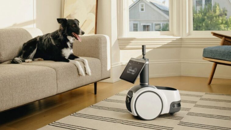 astro,-da-amazon,-ganha-recursos-para-proteger-a-casa-e-cuidar-de-pets