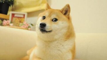 musk-troca-logo-do-twitter-e-faz-dogecoin-subir-30%;-entenda-o-caso