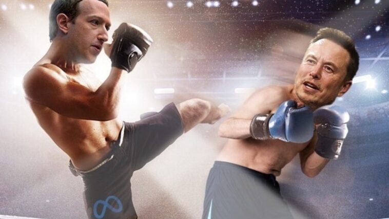 musk-diz-que-zuckerberg-e-‘frango’,-mas-briga-fica-distante;-entenda