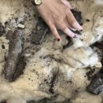 estudante-utiliza-ia-para-recuperar-pergaminho-carbonizado-do-seculo-i