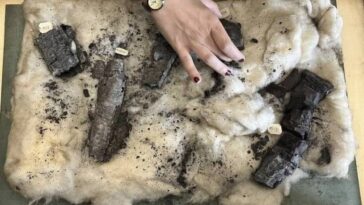 estudante-utiliza-ia-para-recuperar-pergaminho-carbonizado-do-seculo-i