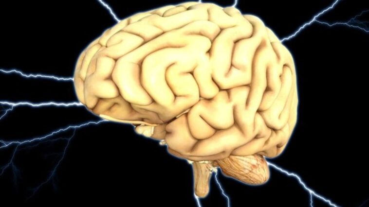 estimulacao-eletrica-cerebral-mostra-potencial-contra-alzheimer