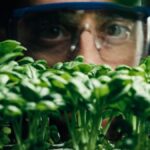 plantas-mudam-de-cor-ao-detectarem-substancias-toxicas