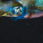 conheca-as-criaturas-que-vivem-na-zona-crepuscular-do-oceano