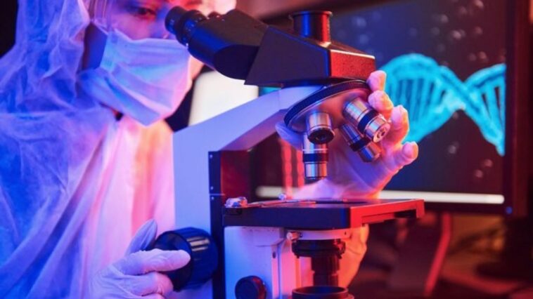 cientistas-querem-impedir-extincao-de-especie-de-dragao-na-australia