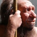 neandertais-podiam-ouvir-linguas-humanas-e-fala-las,-segundo-seus-fosseis