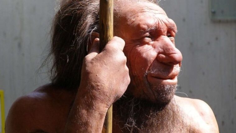 neandertais-podiam-ouvir-linguas-humanas-e-fala-las,-segundo-seus-fosseis