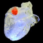 cientistas-usam-ultrassom-para-imprimir-em-3d-dentro-do-corpo-humano