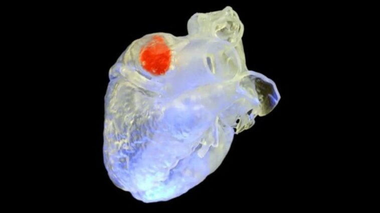cientistas-usam-ultrassom-para-imprimir-em-3d-dentro-do-corpo-humano