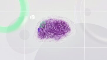 cientistas-unem-minicerebros-a-inteligencia-artificial-pela-primeira-vez