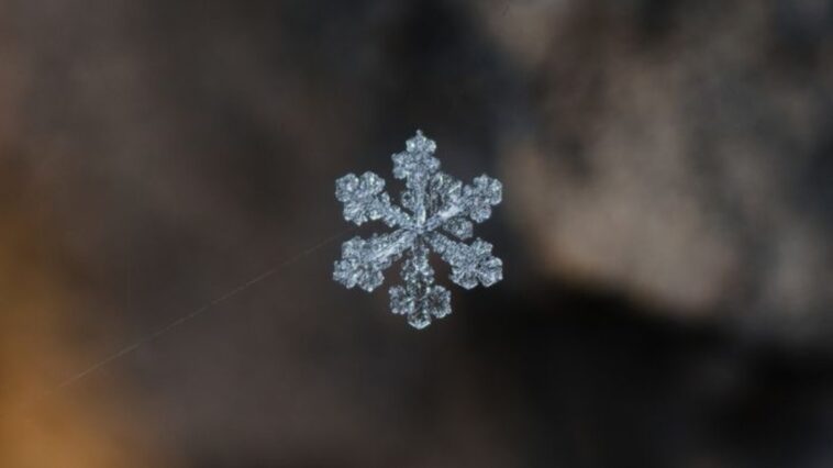 quao-grande-um-floco-de-neve-consegue-ficar-na-natureza?