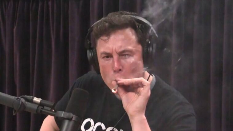 elon-musk-faz-uso-de-lsd,-ketamina-e-cocaina,-segundo-jornal-americano
