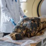 mumia-egipcia-morreu-durante-o-parto-com-bebe-preso-na-pelve