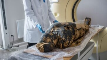 mumia-egipcia-morreu-durante-o-parto-com-bebe-preso-na-pelve