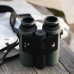 ces-2024-|-swarovski-lanca-binoculos-capazes-de-identificar-passaros