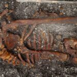 evidencia-mais-antiga-de-sifilis-e-encontrada-em-esqueletos-no-brasil