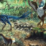 galinha-do-inferno-|-dinossauro-inedito-tinha-o-peso-de-um-humano