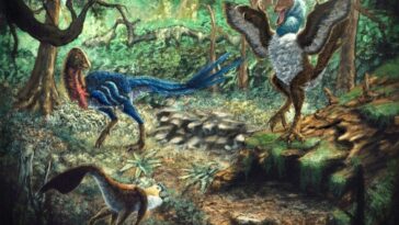 galinha-do-inferno-|-dinossauro-inedito-tinha-o-peso-de-um-humano