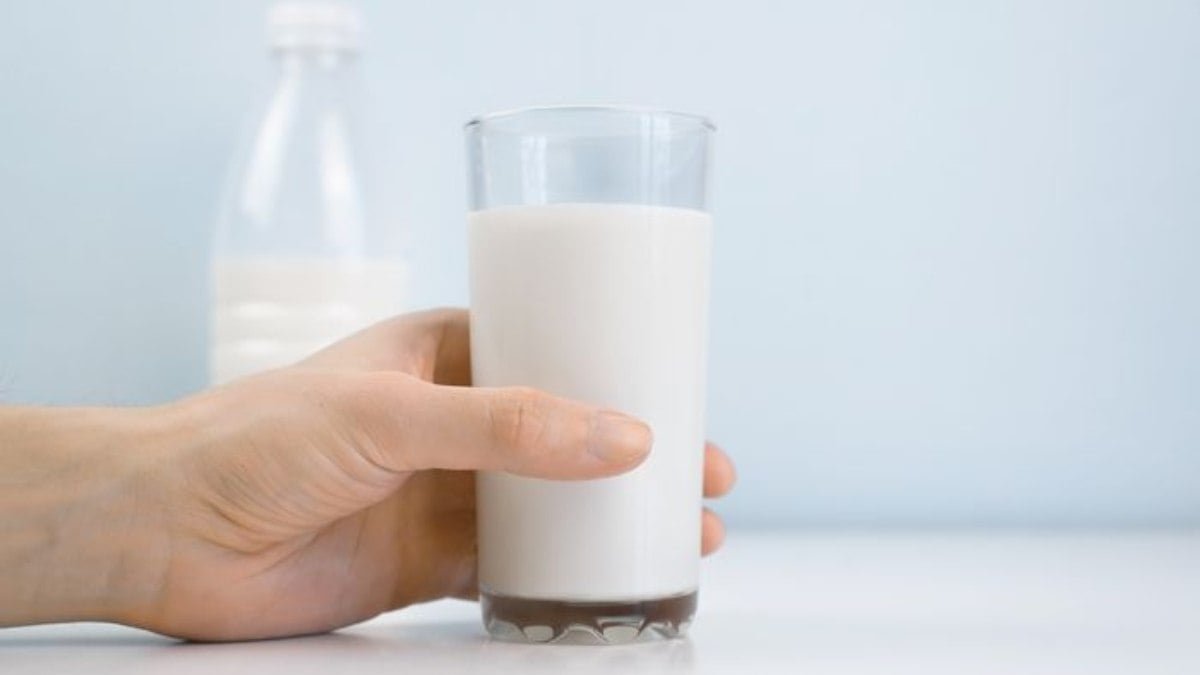 Qual é o leite mais saudável para consumo humano? - Marketing de Verdade