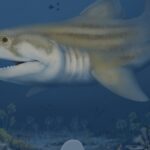 especies-ineditas-de-tubarao-primitivo-sao-encontradas-em-cavernas