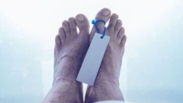 microbioma-da-morte-|-microbios-podem-indicar-ha-quanto-tempo-uma-pessoa-morreu