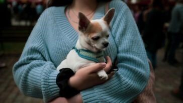 novo-codigo-civil-vai-parar-de-tratar-animais-como-objetos
