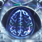 cerebro-humano-esta-ficando-maior,-o-que-pode-reduzir-risco-de-alzheimer