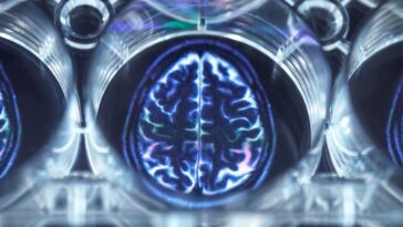 cerebro-humano-esta-ficando-maior,-o-que-pode-reduzir-risco-de-alzheimer