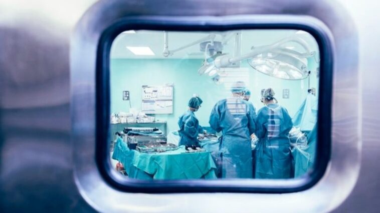 fora-do-corpo,-orgaos-sao-mantidos-vivos-ate-o-transplante