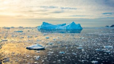 onda-de-calor-atinge-antartida;-temperatura-foi-40-°c-acima-da-media