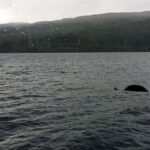 nasa-pode-integrar-equipe-de-buscas-do-monstro-do-lago-ness