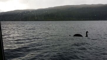 nasa-pode-integrar-equipe-de-buscas-do-monstro-do-lago-ness