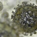 molecula-produzida-por-bacterias-do-intestino-pode-tratar-gripe