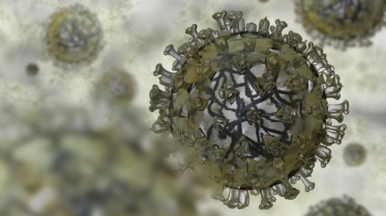 molecula-produzida-por-bacterias-do-intestino-pode-tratar-gripe