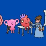 quem-e-rita-lobato-velho,-a-medica-brasileira-homenageada-no-doodle-do-google