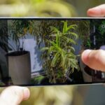 como-abrir-um-arquivo-heic-|-guia-pratico