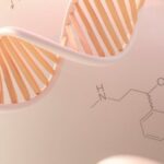 antigo-dna-de-neandertais-pode-ter-relacao-com-o-autismo