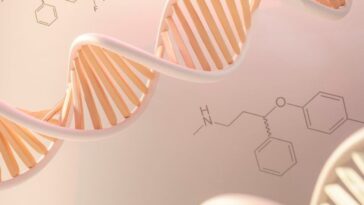 antigo-dna-de-neandertais-pode-ter-relacao-com-o-autismo