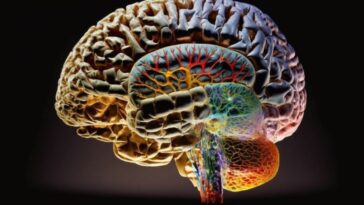 cientistas-descobrem-a-origem-da-gagueira-no-cerebro