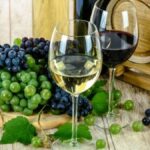por-que-a-morte-dos-dinossauros-tem-tudo-a-ver-com-uvas-e-vinho