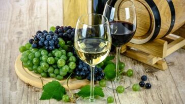 por-que-a-morte-dos-dinossauros-tem-tudo-a-ver-com-uvas-e-vinho