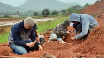 fossil-de-dinossauro-de-230-milhoes-de-anos-e-encontrado-apos-chuvas-na-regiao-sul
