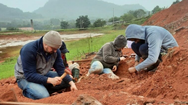 fossil-de-dinossauro-de-230-milhoes-de-anos-e-encontrado-apos-chuvas-na-regiao-sul
