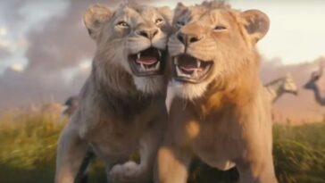 d23-|-live-action-de-rei-leao-vai-contar-como-mufasa-e-scar-se-tornaram-inimigos