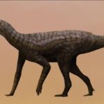 fosseis-de-fezes-e-vomitos-revelam-segredos-sobre-a-vida-dos-dinossauros-na-terra