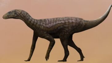 fosseis-de-fezes-e-vomitos-revelam-segredos-sobre-a-vida-dos-dinossauros-na-terra