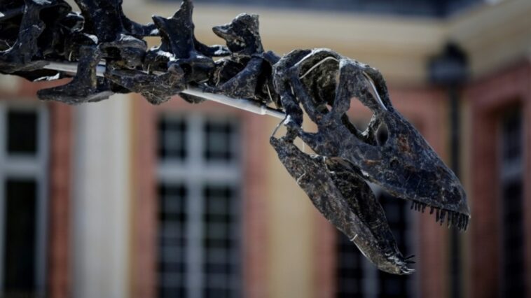 dieta-alimentar-dos-dinossauros-explica-sua-supremacia