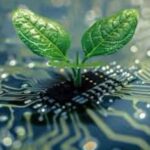 a
revolucao-silenciosa-da-ia-no-campo