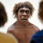 homo-erectus-sabia-se-adaptar-as-condicoes-deserticas,-revela-estudo